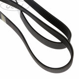 FOCUS DRIVE V BELT