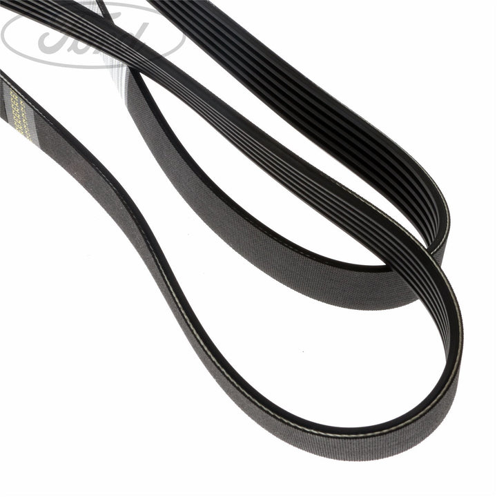 FOCUS DRIVE V BELT