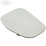 FUEL TANK FILLER ACCESS DOOR