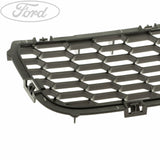 RANGER LOWER BUMPER MESH GRILLE