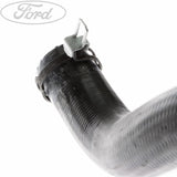 RADIATOR HOSE