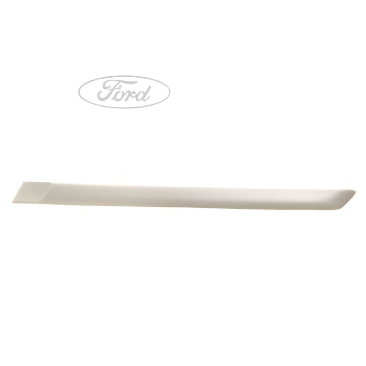 FIESTA N/S REAR DOOR OUTER BODY MOULDING