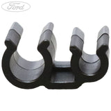 CLIP