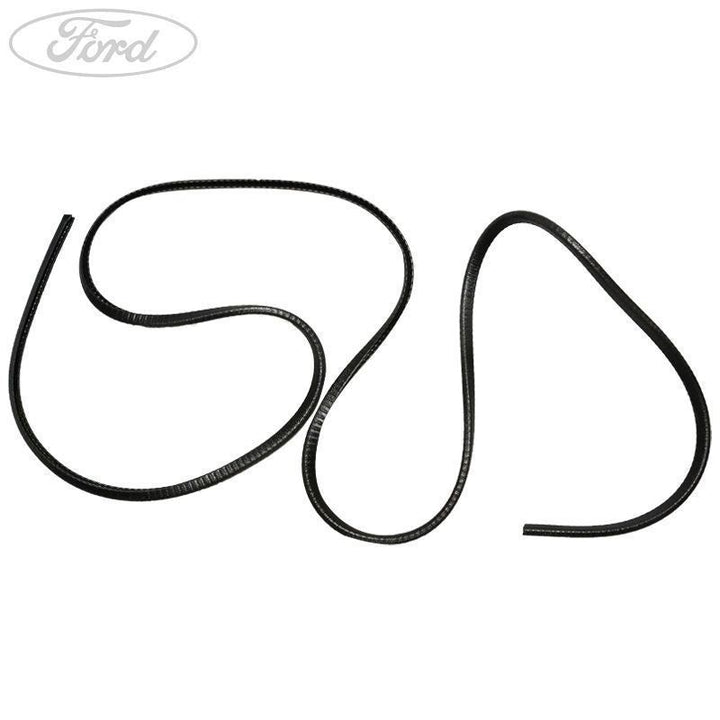 TRANSIT REAR DOOR GLASS WEATHERSTRIP SEAL DOUBLE CAB