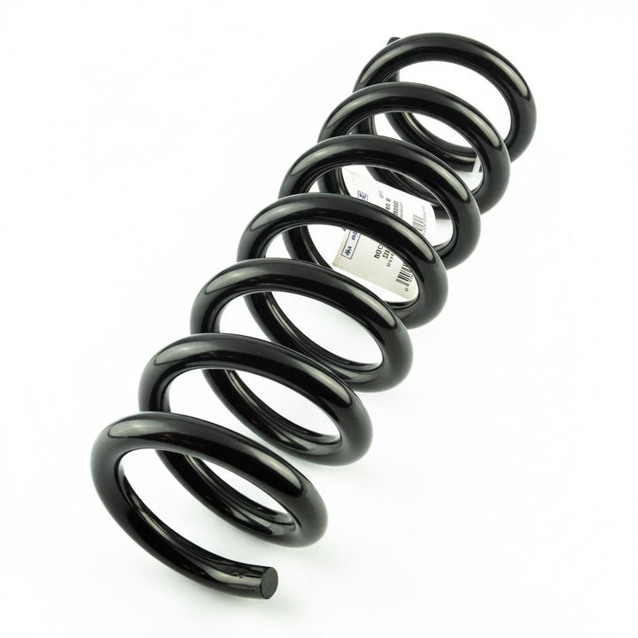Ranger N/S Front Coil Spring Violet x1 2019-2023