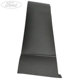 DOOR TRIM PANEL APPLIQUE