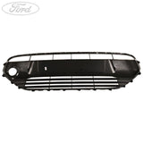 TRANSIT CONNECT FRONT LOWER RADIATOR GRILLE COVER 2013-