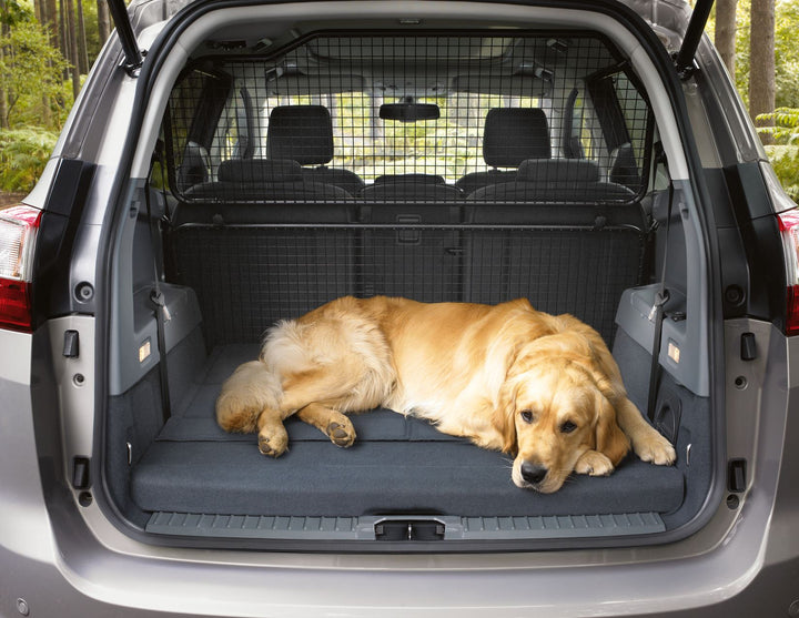 C-MAX LOAD RETENTION GUARD EXTENSION 04/2015