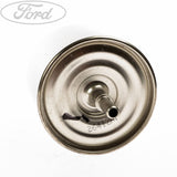 COUGAR MAVERICK TAUNUS IN LINE PETROL FUEL FILTER