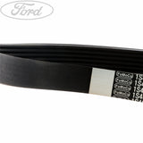 FOCUS DRIVE V BELT