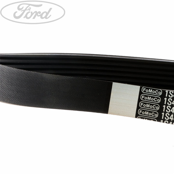 FOCUS DRIVE V BELT