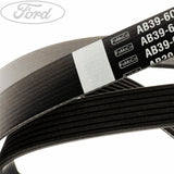 DRIVE V BELT