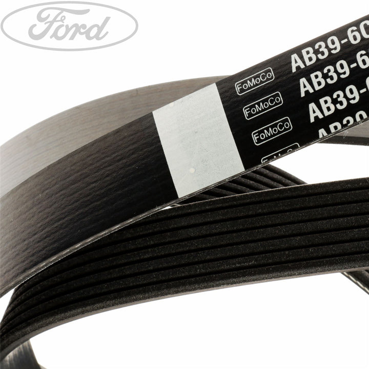 DRIVE V BELT