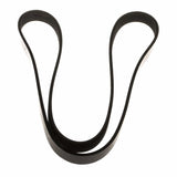 C-MAX FOCUS DRIVE V BELT