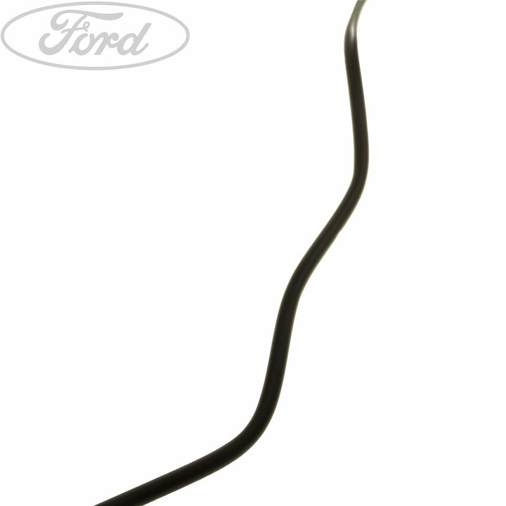 COOLING SYSTEM OVERFLOW HOSE