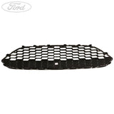 FIESTA FRONT GRILLE & EDGE TRIM COVER C1BJ-17B968-CA