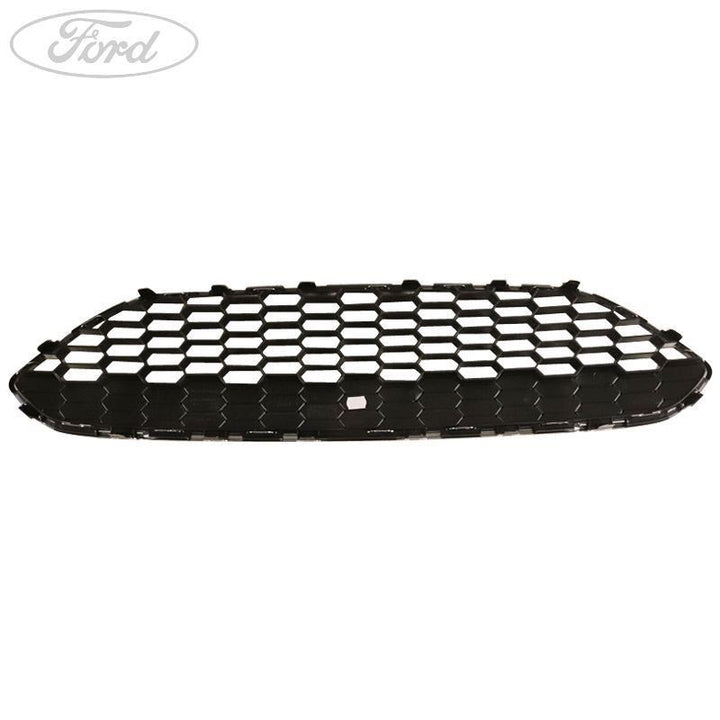 FIESTA FRONT GRILLE & EDGE TRIM COVER C1BJ-17B968-CA