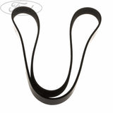 C-MAX FOCUS DRIVE V BELT