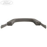 ROOF SIDE RAIL GRAB HANDLE