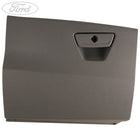 GLOVE COMPARTMENT DOOR