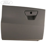 GLOVE COMPARTMENT DOOR