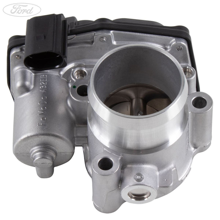 THROTTLE BODY AND MOTOR