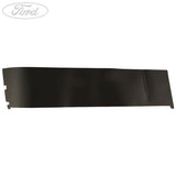 DOOR TRIM PANEL APPLIQUE