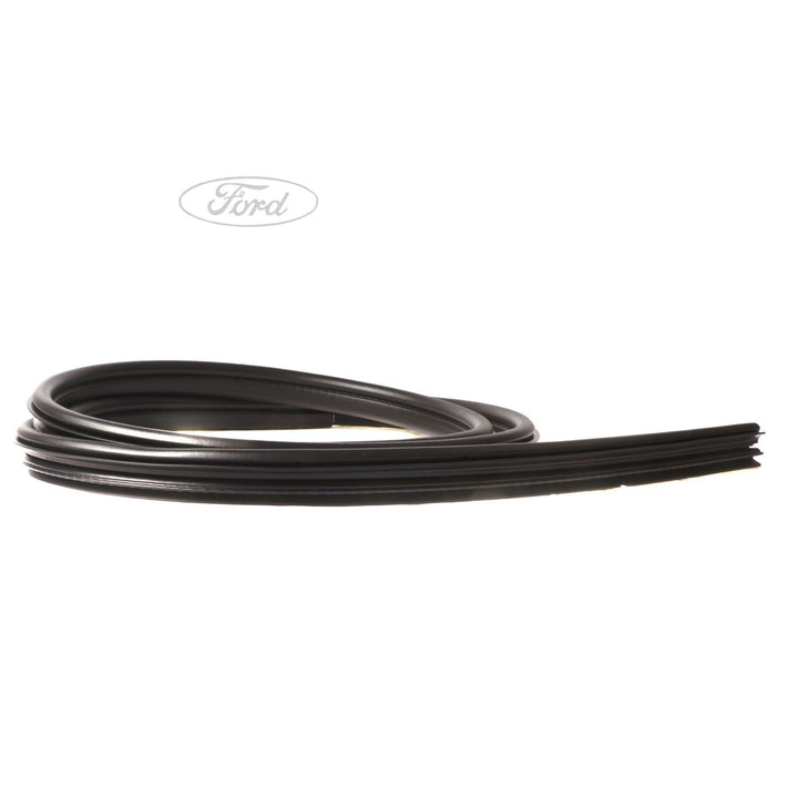FUSION OUTER DOOR BODY WEATHERSTRIP SEAL