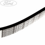 FOCUS DRIVE V BELT