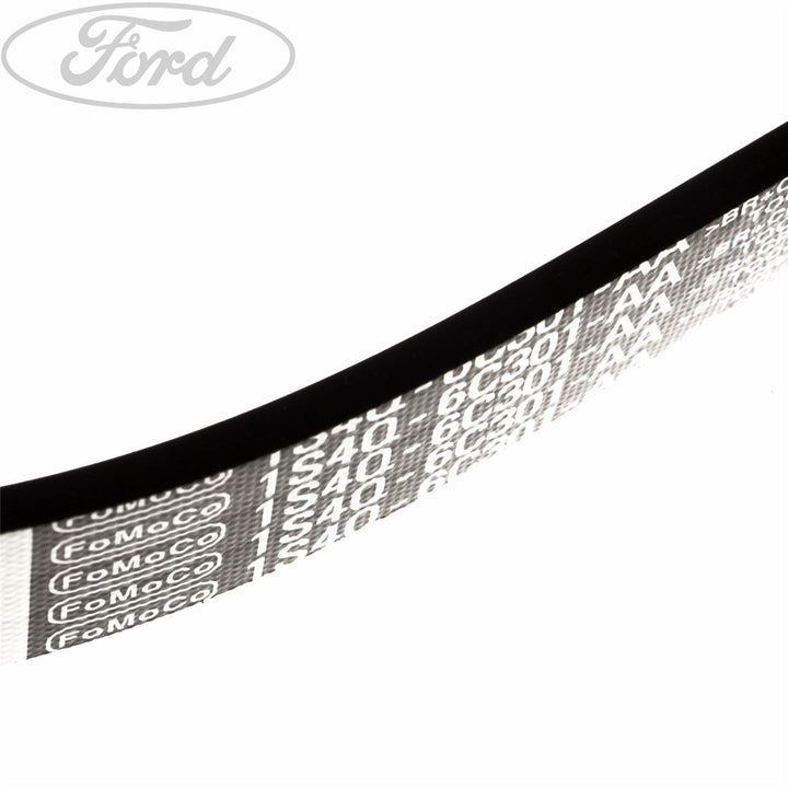 FOCUS DRIVE V BELT