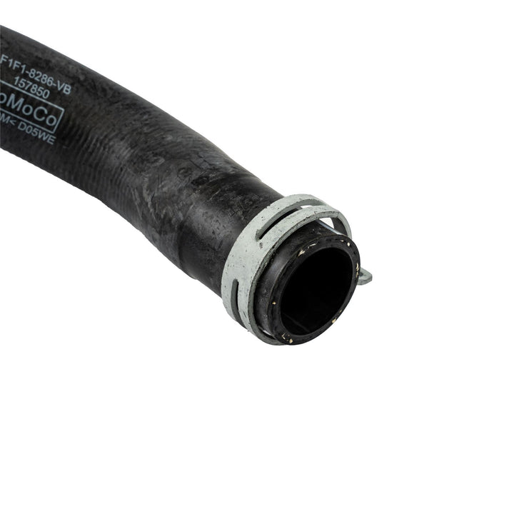 C-Max Focus 1.0 Ecoboost Lower Radiator Hose Automatic 2012-2019