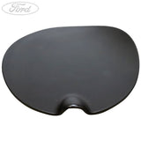 FUEL TANK FILLER ACCESS DOOR