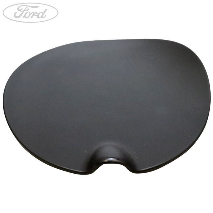 FUEL TANK FILLER ACCESS DOOR