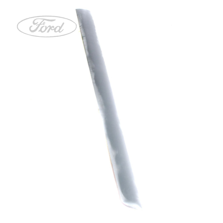 FIESTA O/S DOOR OUTSIDE BODY MOULDING