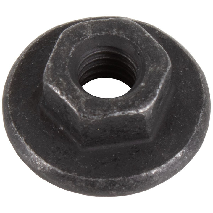 BACK DOOR/TAILGATE TRIM PANELS SPECIAL NUT