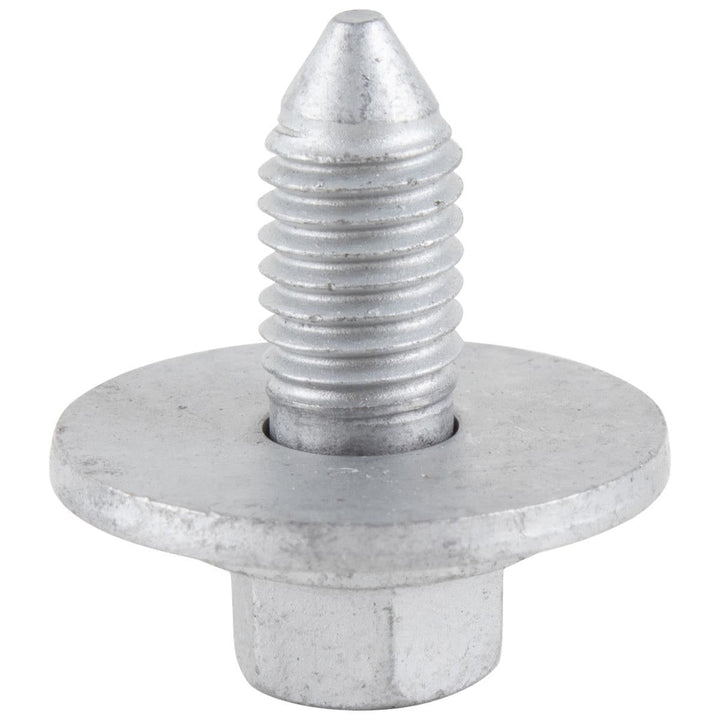 LUGGAGE COMPARTMENT DOOR SCREW AND WASHER  PACK OF 5