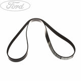 FIESTA DRIVE V BELT