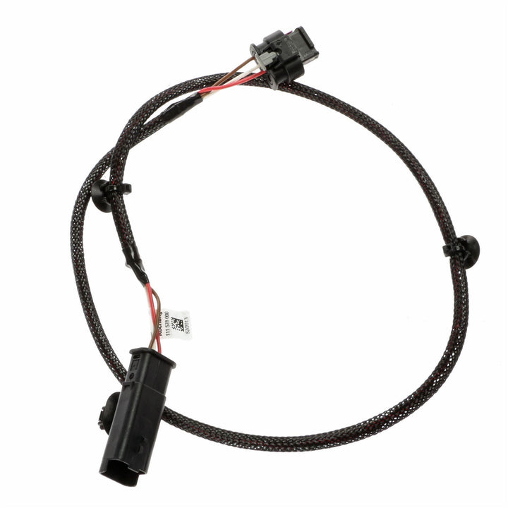 FOCUS ENGINE & TRANSMISSION WIRING
