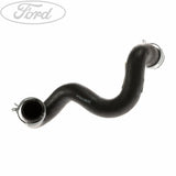 C-MAX 1.6 16V UPPER RADIATOR HOSE