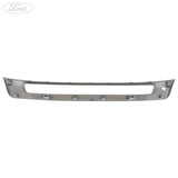 EVEREST LOWER RADIATOR GRILLE HIGHLIGHT SILVER METALLIC