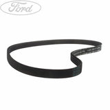 FOCUS DRIVE V BELT