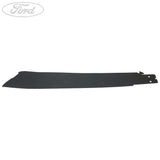 DOOR TRIM PANEL APPLIQUE
