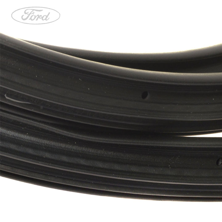 FOCUS REAR DOOR WEATHERSTRIP SEAL