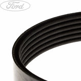 C-MAX FOCUS FIESTA FUSION DRIVE V BELT