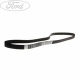 FOCUS DRIVE V BELT