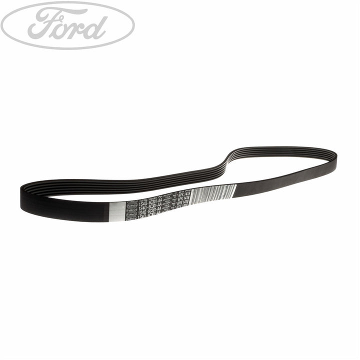 FOCUS DRIVE V BELT