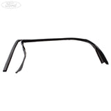FIESTA MK6 FUSION REAR N/S DOOR WINDOW WEATHERSTRIP SEAL