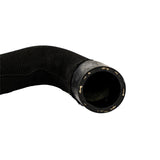 Focus 1.0 EcoBoost Lower Radiator Coolant Hose 2018- Onwards