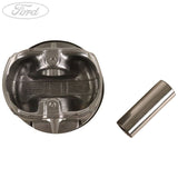 PISTON RING AND PIN