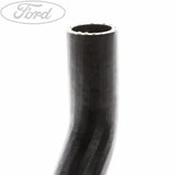 RADIATOR HOSES